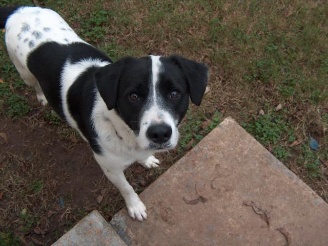 More Eddie - November 20, 2004 Click Picture Above to Enter Album.