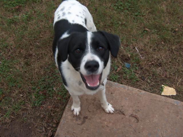 Smiling for the Camera