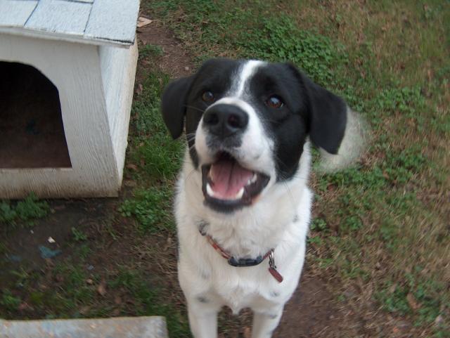 Okay, where's my treat?