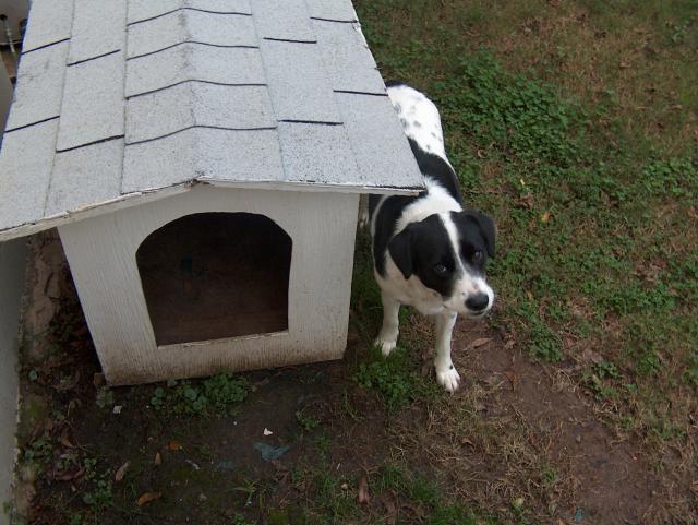 My treat and I want to be alone now!