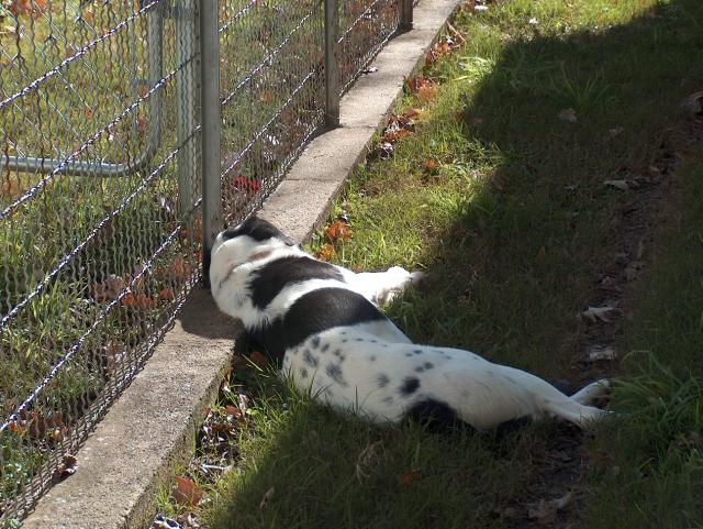 And More Eddie - December 2, 2004 Click Picture Above to Enter Album.