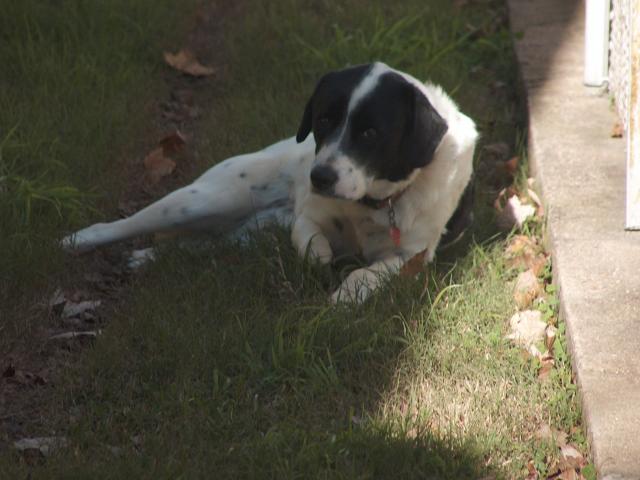 Why'd you wake me up?