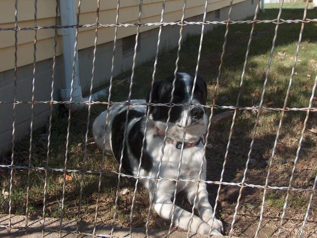 Okay, I'm awake now, but I don't like it.