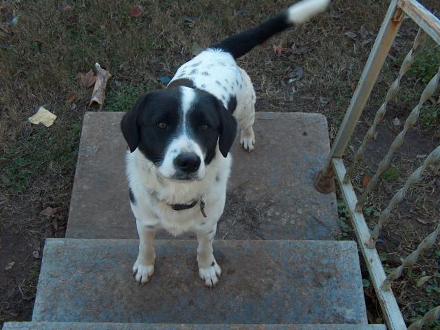 You better have a treat for me...