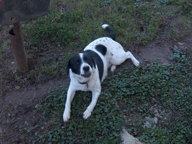 Eddie Again - November 27, 2004 Click Picture Above to Enter Album.