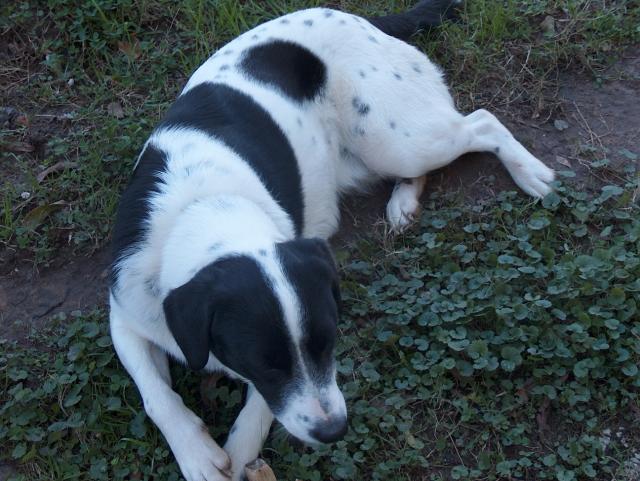 Eddie and another treat...