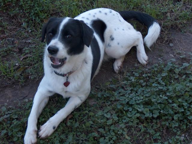 Why do you always take pictures of me eating?