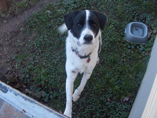 Another treat, please!