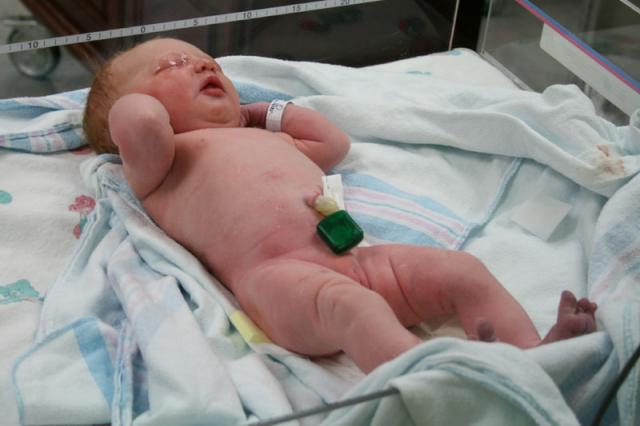 Elyn Elizabeth Cantrell