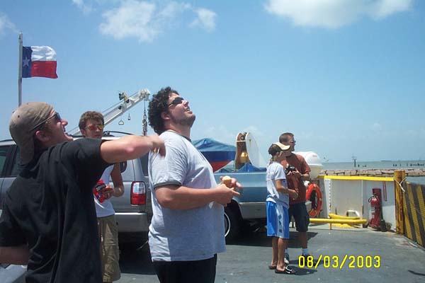 Feeding the Seagulls