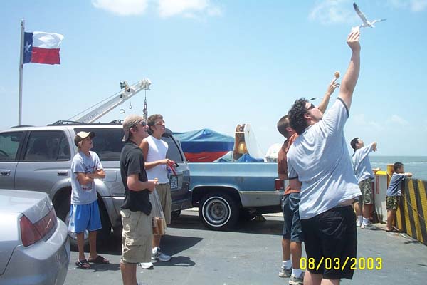 Feeding the Seagulls