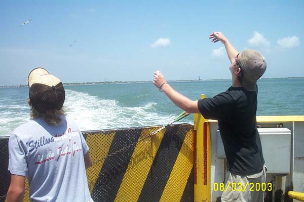 Feeding the Seagulls