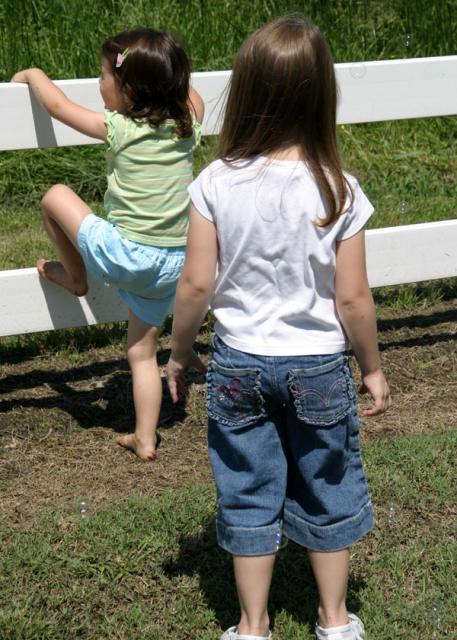 Thinking about chasing the bubbles over the fence