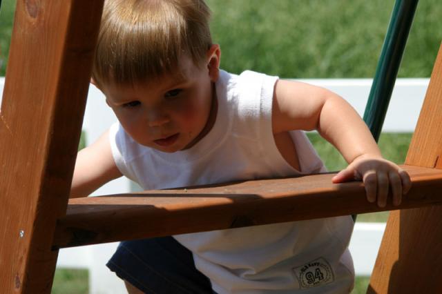 Almost to the top! Does anyone see me yet?