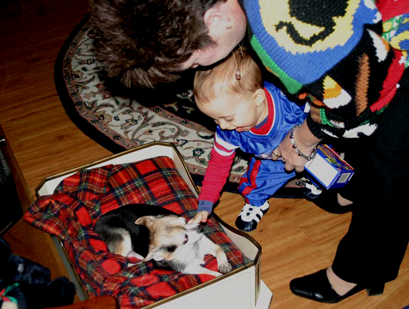 Get out of bed and come play with me, Homer!