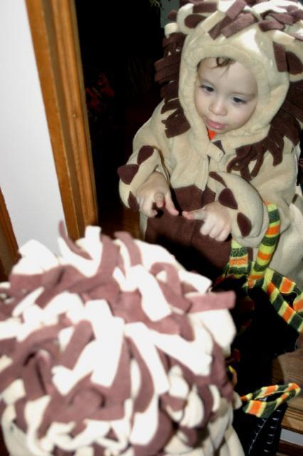 Hey, there's a lion in the mirror!