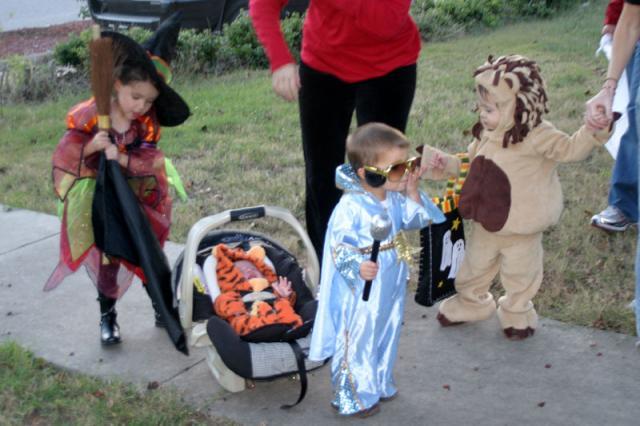 A witch, a tiger, an Elvis, and a lion, oh my!