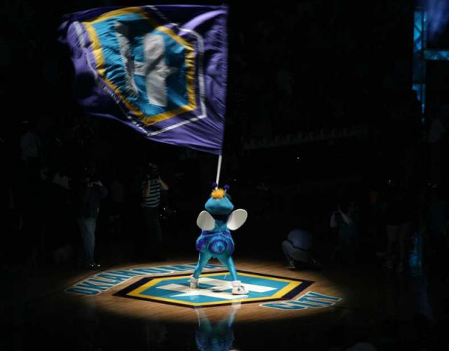 Spotlight on the Hornet!