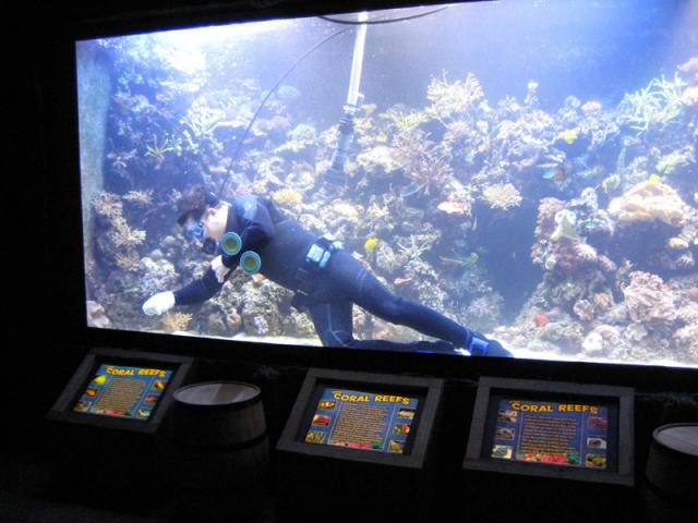 Scuba diver cleaning the tanks -- Tyler was terrified