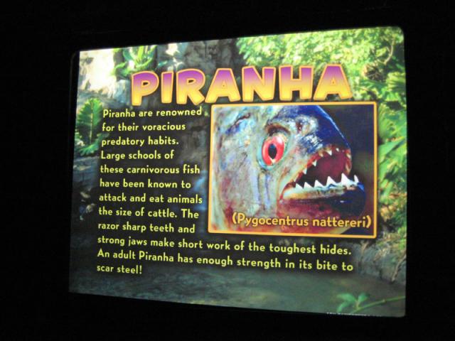 You know, something like this