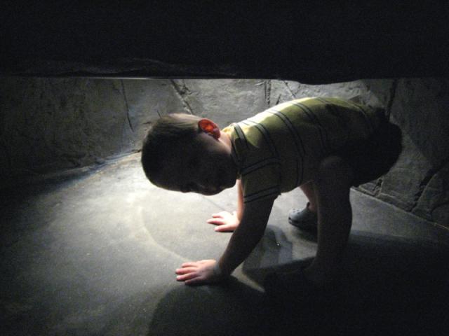 Kids could crawl under the stingray pool...