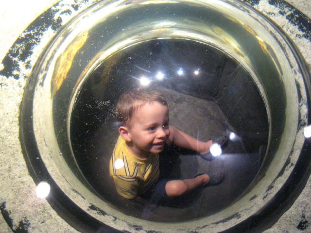 ...and it's Tyler in a bubble!