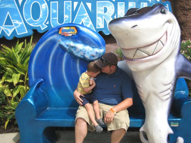 A little scared of the shark