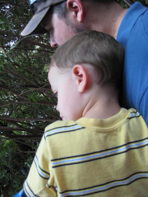 A little traumatized by the shark tunnel