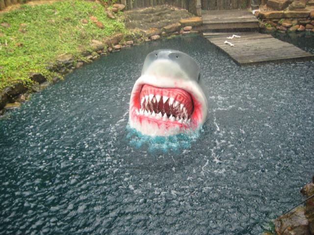 And then this guy popped up and traumatized all of us