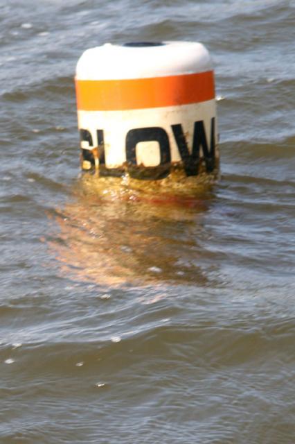 But the lake is so high, they look like this in some places