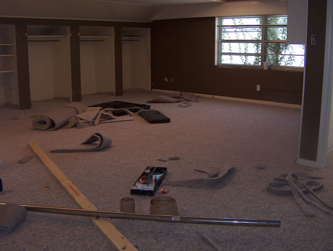 Carpet's done! (Just need to clean up the mess now!)
