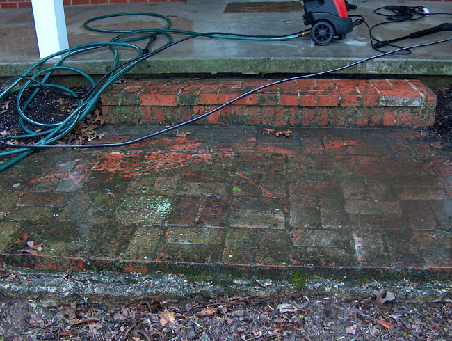 Outside -- Powerwashing, Tearing Down Ivy & Nature Pictures