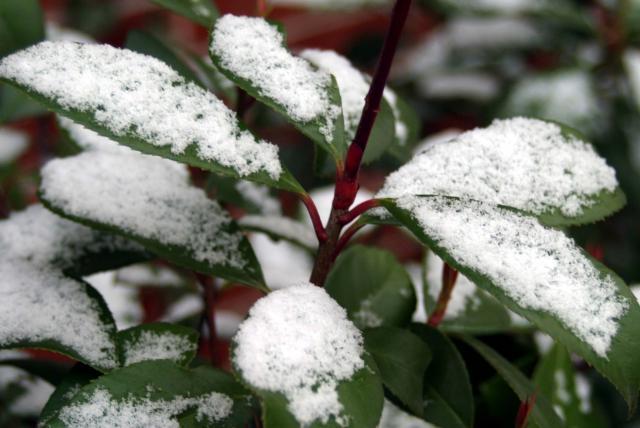 March 23, 2006 *Click each thumbnail to see picture full size!*