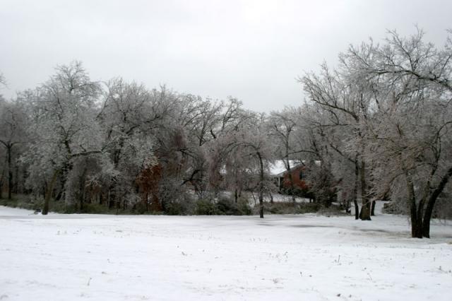 Winter ~ January 13, 2007