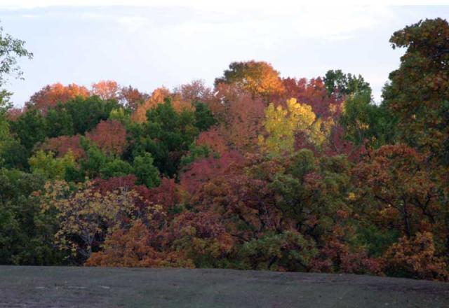 Colorful ~ October 26, 2006