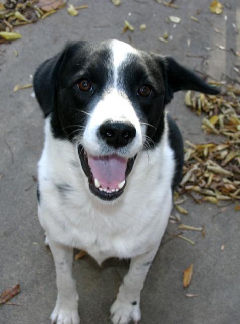 Play? ~ October 29, 2006