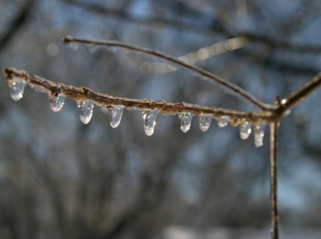 Beads ~ December 1, 2006