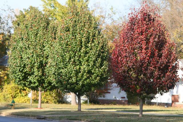 Mid-change ~ November 8, 2007