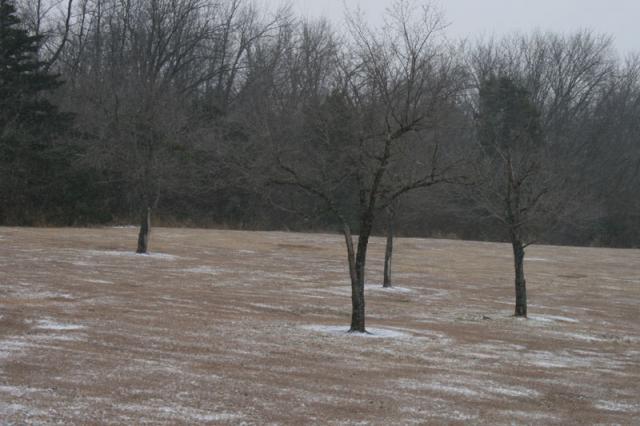 Dusting ~ January 31, 2008