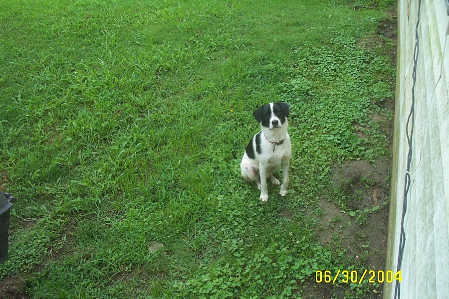 New Eddie Pictures - June 30 & July 1, 2004