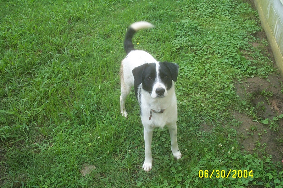 Standing at Attention