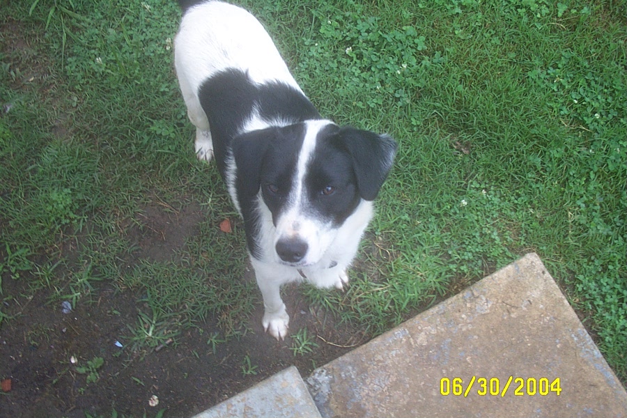 Eddie's Wistful Look