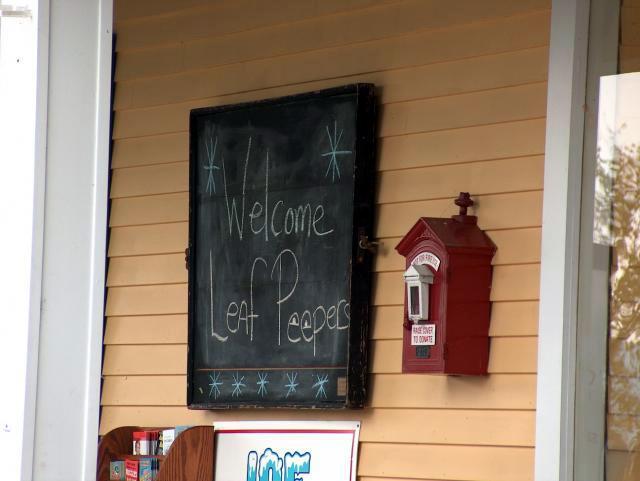 We were "Leaf Peepers." Hee hee hee!