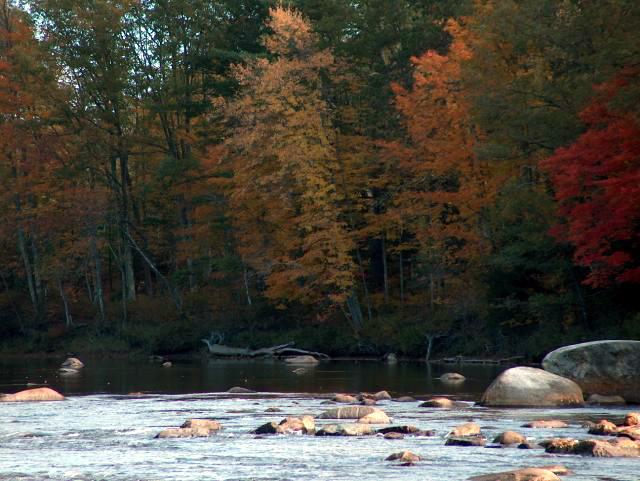 More Amazing Colors!