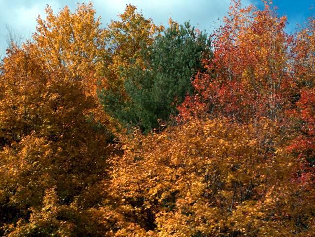 Still More Amazing Colors!