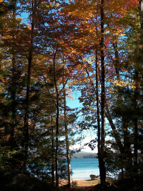 A Glimpse of the Lake