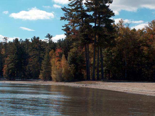 The Lake & More Trees