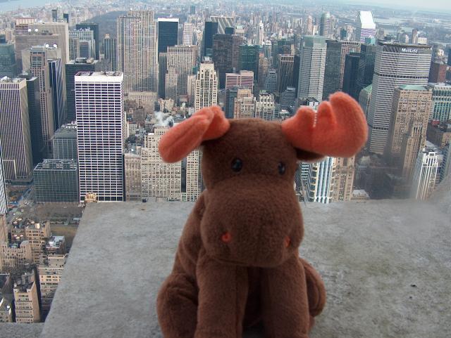 Lumpy, you daredevil, you!