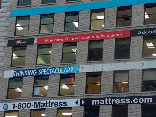 Hey, it's a legitimate question -- why DON'T we ever see baby pigeons?