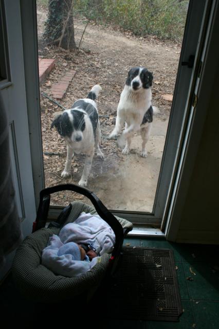 Oliver meets Eddie and Basil